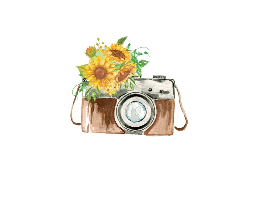 Maiden's Moments Photography logo